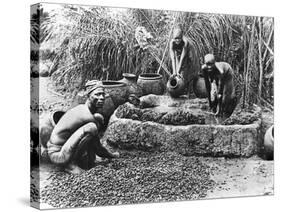 Making Palm Oil in Dahomey,circa 1900-null-Stretched Canvas