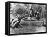 Making Palm Oil in Dahomey,circa 1900-null-Framed Stretched Canvas
