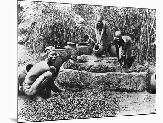 Making Palm Oil in Dahomey,circa 1900-null-Mounted Giclee Print