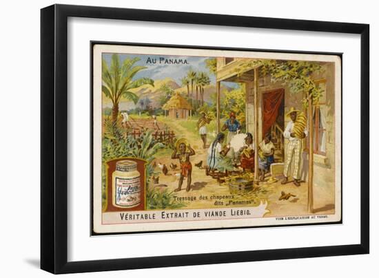 Making Panama Hats In, of All Places, Panama-null-Framed Art Print