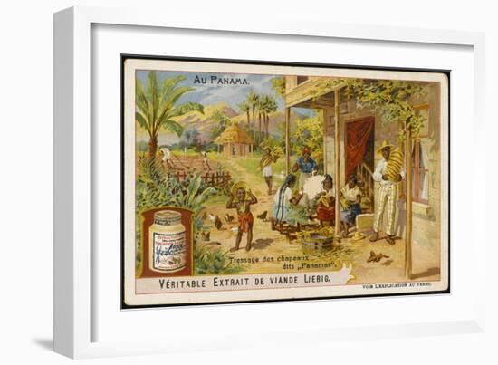 Making Panama Hats In, of All Places, Panama-null-Framed Art Print