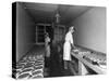 Making Pork Pies, Schonhuts Butchery Factory, Rawmarsh, South Yorkshire, 1955-Michael Walters-Stretched Canvas