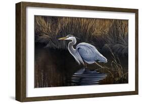 Making Strides - Great Blue Heron-Wilhelm Goebel-Framed Giclee Print