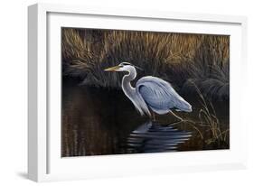 Making Strides - Great Blue Heron-Wilhelm Goebel-Framed Giclee Print