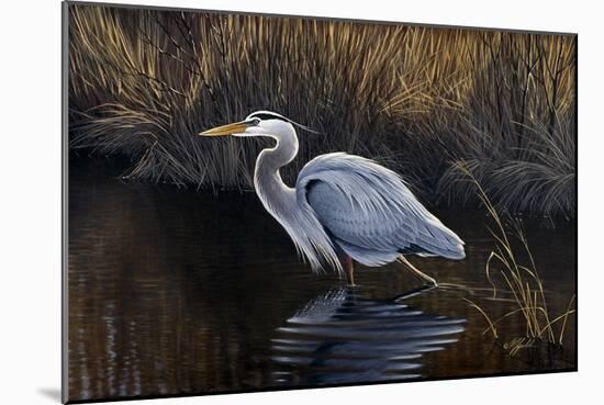 Making Strides - Great Blue Heron-Wilhelm Goebel-Mounted Giclee Print