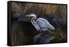 Making Strides - Great Blue Heron-Wilhelm Goebel-Framed Stretched Canvas