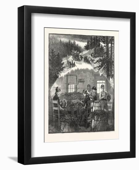 Making Wreaths, Preparing Christmas Greens, USA, America, United States, American, 1880-null-Framed Premium Giclee Print