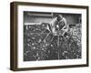 Making Yo-Yos-Robert W^ Kelley-Framed Photographic Print