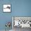 Mako Shark-Stocktrek Images-Framed Stretched Canvas displayed on a wall