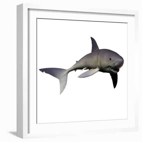 Mako Shark-Stocktrek Images-Framed Photographic Print