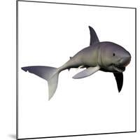 Mako Shark-Stocktrek Images-Mounted Photographic Print