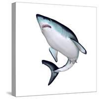 Mako Shark-null-Stretched Canvas