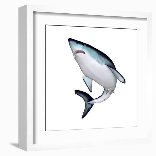 Mako Shark-null-Framed Art Print