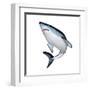 Mako Shark-null-Framed Art Print