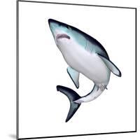 Mako Shark-null-Mounted Art Print