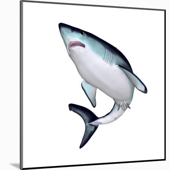 Mako Shark-null-Mounted Art Print