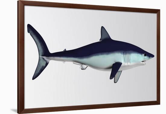 Mako Shark-null-Framed Art Print