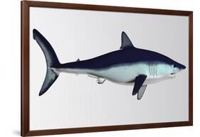 Mako Shark-null-Framed Art Print