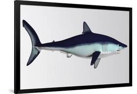 Mako Shark-null-Framed Art Print