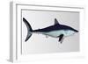 Mako Shark-null-Framed Art Print