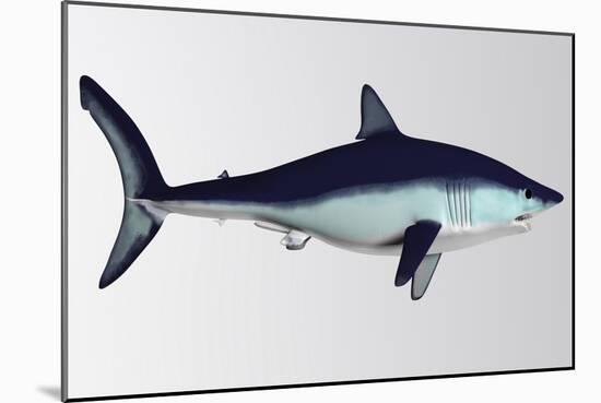 Mako Shark-null-Mounted Art Print