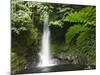 Malabsay Waterfall, Mount Isarog National Park, Bicol, Southeast Luzon, Philippines, Southeast Asia-Kober Christian-Mounted Photographic Print