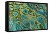 Malachite and Chrysocolla Copper Minerals From-null-Framed Stretched Canvas