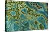 Malachite and Chrysocolla Copper Minerals From-null-Stretched Canvas