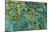 Malachite and Chrysocolla Copper Minerals From-null-Mounted Photographic Print