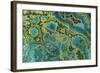Malachite and Chrysocolla Copper Minerals From-null-Framed Photographic Print