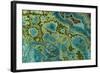 Malachite and Chrysocolla Copper Minerals From-null-Framed Photographic Print