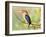 Malachite Kingfisher-Martin Fowkes-Framed Giclee Print