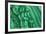 Malachite Lumumbashi-null-Framed Photographic Print