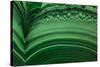 Malachite-Darrell Gulin-Stretched Canvas