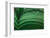 Malachite-Darrell Gulin-Framed Photographic Print