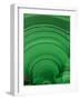 Malachite-Darrell Gulin-Framed Photographic Print