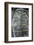 Malaclemys Terrapin Centrata (Diamondback Terrapin)-Paul Starosta-Framed Photographic Print