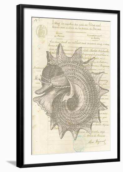 Malacology I-Stephanie Monahan-Framed Giclee Print