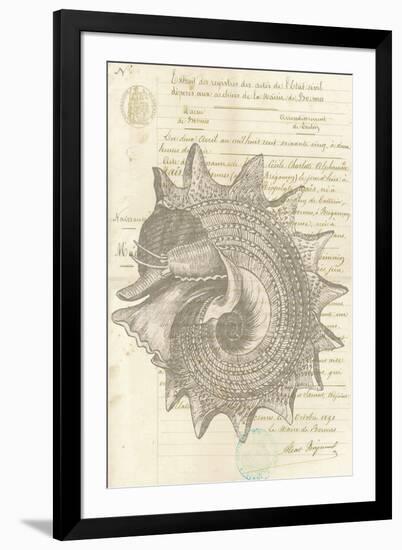 Malacology I-Stephanie Monahan-Framed Giclee Print