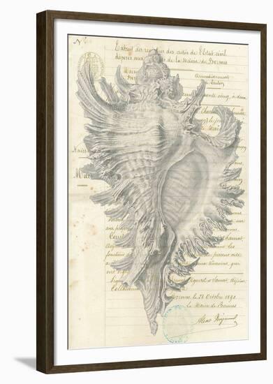 Malacology II-Stephanie Monahan-Framed Giclee Print