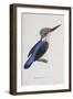 Malagasy Kingfisher, Aleedo Vintsioides-Cyrille Pierre Theodore Laplace-Framed Giclee Print