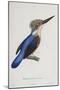 Malagasy Kingfisher, Aleedo Vintsioides-Cyrille Pierre Theodore Laplace-Mounted Giclee Print