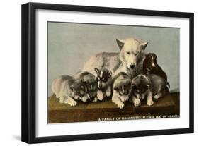 Malamute Family-null-Framed Art Print