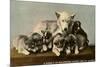 Malamute Family-null-Mounted Premium Giclee Print