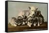 Malamute Family-null-Framed Stretched Canvas