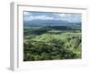 Malanda, Atherton Tableland, Queensland, Australia-Rob Cousins-Framed Photographic Print