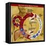 Malaria Parasite Life Cycle-Science Source-Framed Stretched Canvas