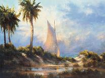 Manasota Key Returning-Malarz-Framed Art Print