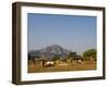 Malawi, Dedza, Grass-Roofed Houses in a Rural Village in the Dedza Region-John Warburton-lee-Framed Photographic Print