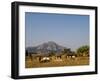 Malawi, Dedza, Grass-Roofed Houses in a Rural Village in the Dedza Region-John Warburton-lee-Framed Photographic Print